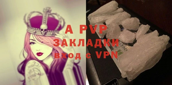 ECSTASY Бородино