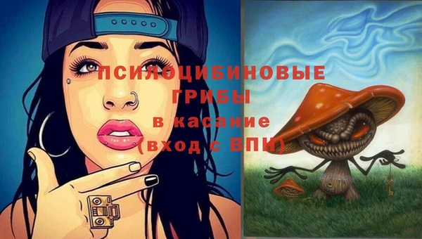 ECSTASY Бородино