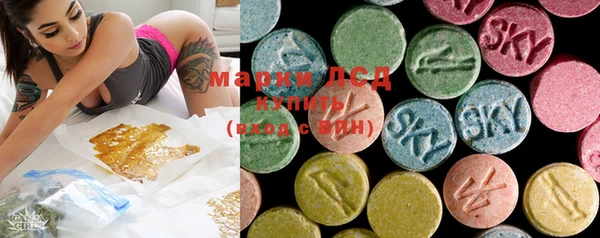 ECSTASY Бородино