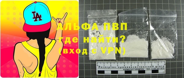 ECSTASY Бородино
