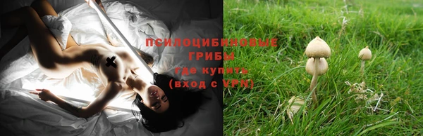 марки lsd Богородицк
