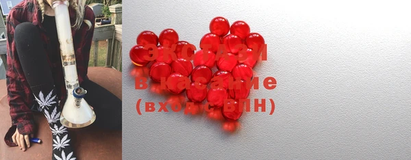 ECSTASY Бородино