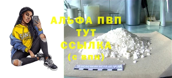 ECSTASY Бородино