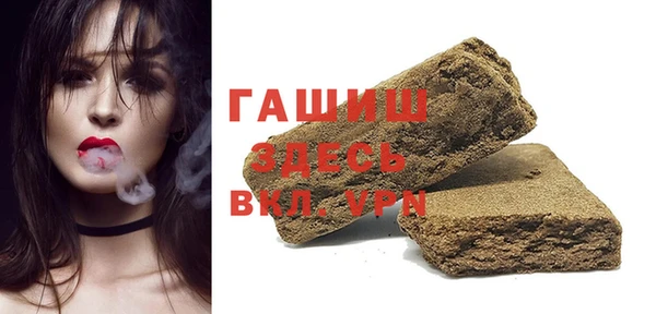 ECSTASY Бородино